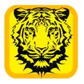 Free play online IPH333 APK