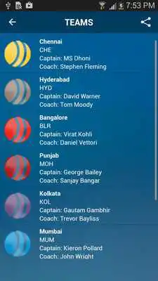 Play IPL Season 8