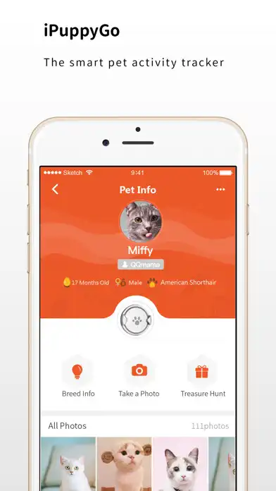 Play iPuppyGo  and enjoy iPuppyGo with UptoPlay