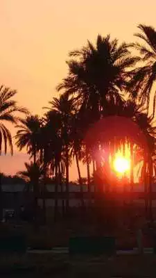 Play Iraq Wallpapers