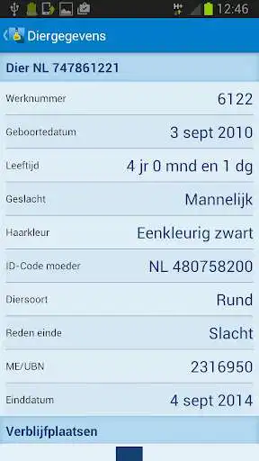 Play IR dieren as an online game IR dieren with UptoPlay