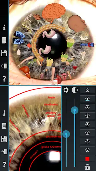 Play Iridology Unlocker  and enjoy Iridology Unlocker with UptoPlay