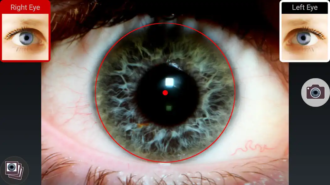 Play Iridology Unlocker as an online game Iridology Unlocker with UptoPlay