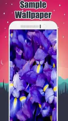 Play Iris Wallpaper Play Iris Wallpaper