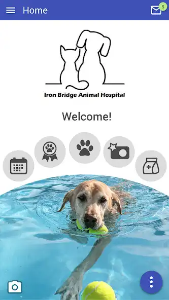 Play IronBridgeVet  and enjoy IronBridgeVet with UptoPlay