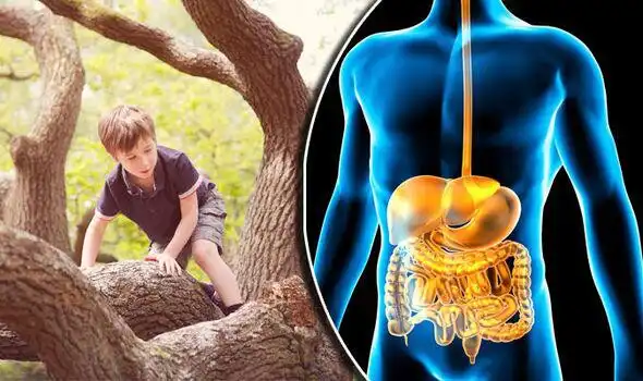 Play Irritable bowel cure and enjoy Irritable bowel cure with UptoPlay Play Irritable bowel cure and enjoy Irritable bowel cure with UptoPlay