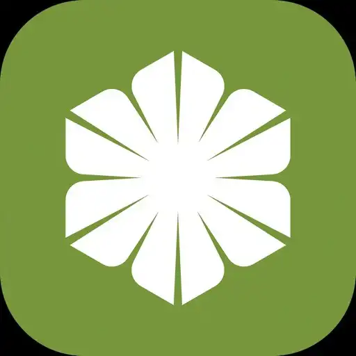 Play ISACHI APK