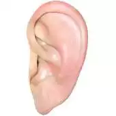 Free play online iseewhatyousay APK