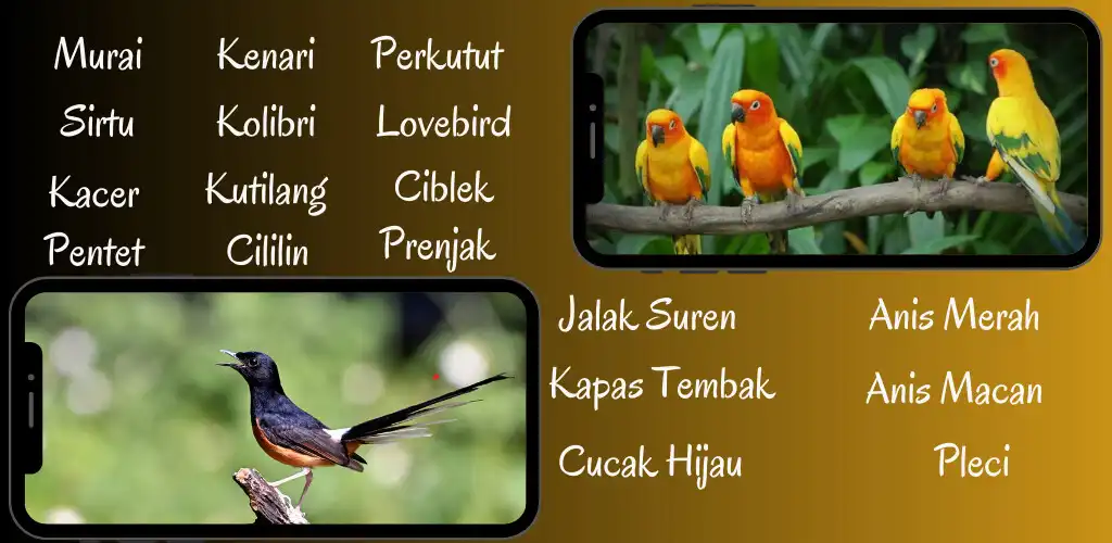 Play Isian Burung Gacor Offline and enjoy Isian Burung Gacor Offline with UptoPlay Play Isian Burung Gacor Offline and enjoy Isian Burung Gacor Offline with UptoPlay