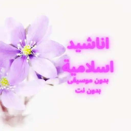 Play Islamic songs without music and without the net APK Play Islamic songs without music and without the net APK