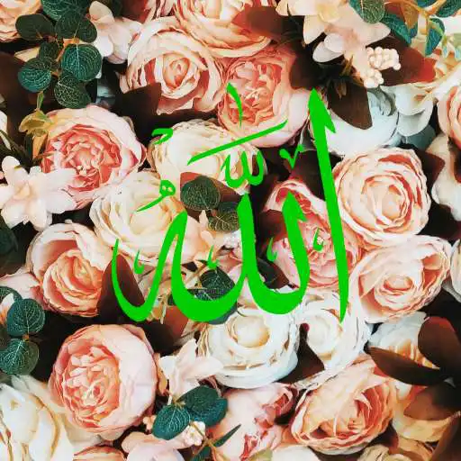 Play Islamic Wallpapers - Allah Live Wallpapers APK