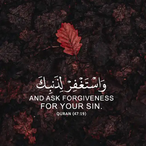 Play Islamic Wallpapers Offline APK Play Islamic Wallpapers Offline APK