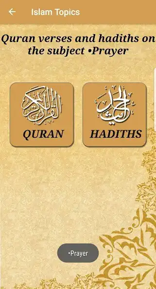 Play Islam Topics Quran Hadith relevant Lifetopics as an online game Islam Topics Quran Hadith relevant Lifetopics with UptoPlay