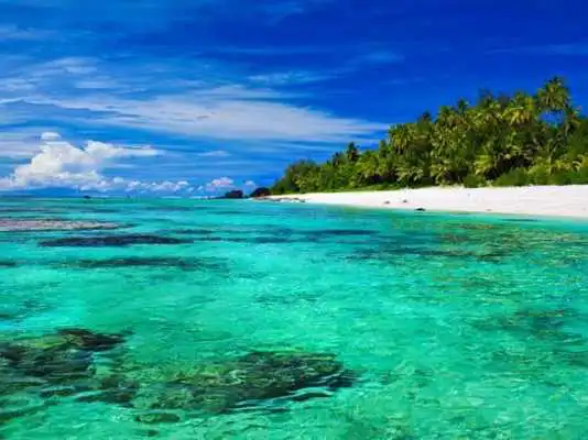 Play Island Beach Hotel Reservation
