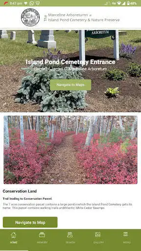 Play Island Pond Cemetery and enjoy Island Pond Cemetery with UptoPlay Play Island Pond Cemetery and enjoy Island Pond Cemetery with UptoPlay