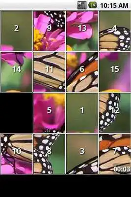 Play iSlider Butterfly Puzzles
