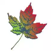 Free play online ISME16 APK