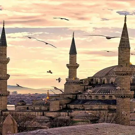 Free play online Istanbul Wallpaper APK