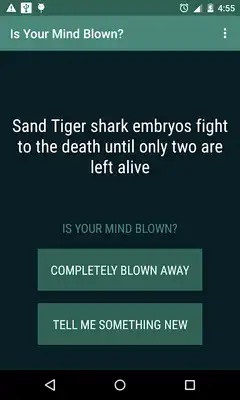 Play Is Your Mind Blown? Play Is Your Mind Blown?