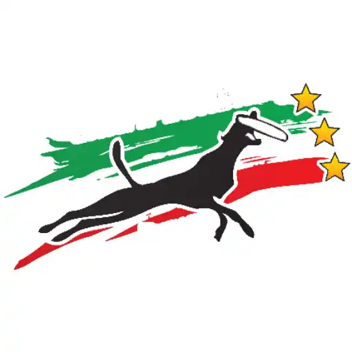 Play Italian DiscDog Championship APK