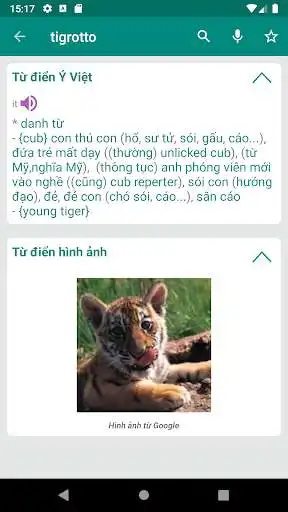Play Italian-Vietnamese Dictionary