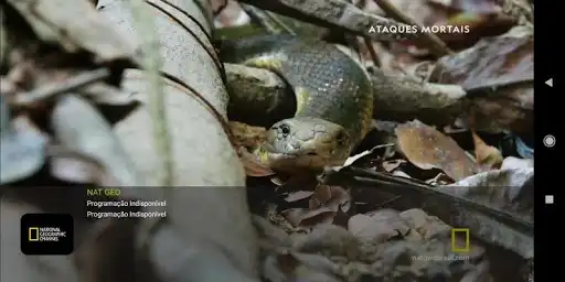 Play Itanet - IPTV  and enjoy Itanet - IPTV with UptoPlay