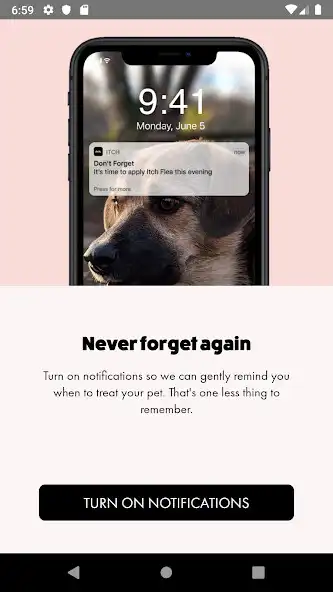 Play Itch Pet  and enjoy Itch Pet with UptoPlay