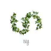 Free play online Ivy App Demo APK