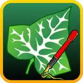 Free play online Ivy Draw APK Free play online Ivy Draw APK