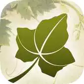 Free play online Ivy of Wheaton APK