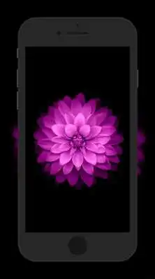 Play iWallpaper XS Play iWallpaper XS