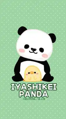 Play IYASHIKEI PANDA Shake2