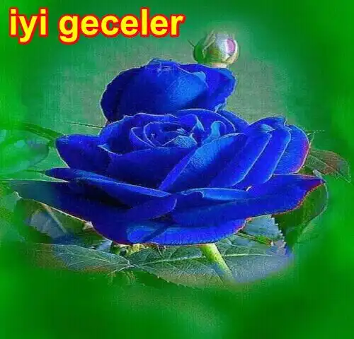 Play Iyi geceler as an online game Iyi geceler with UptoPlay