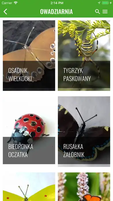 Play Izerska Łąka as an online game online Izerska Łąka with UptoPlay Play Izerska Łąka as an online game Izerska Łąka with UptoPlay