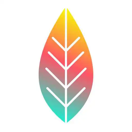 Play Jabe - Local. Like You. APK
