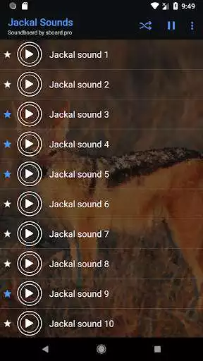 Play APK Jackal Sounds ~ Sboard.pro  and enjoy Jackal Sounds ~ Sboard.pro with UptoPlay pro.sboard.ringtone.Jackal