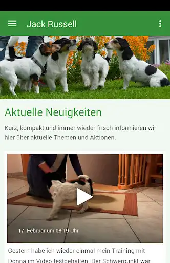 Play Jack Russell von Karoo  and enjoy Jack Russell von Karoo with UptoPlay