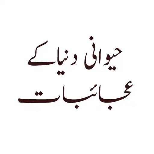 Play Jadu Chinna Amliyat APK Play Jadu Chinna Amliyat APK