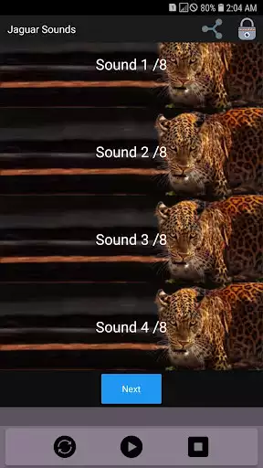 Play Jaguar Sounds  and enjoy Jaguar Sounds with UptoPlay