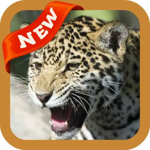 Play Jaguar Wallpaper APK