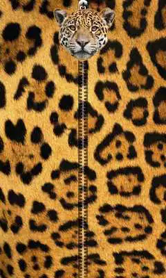 Play Jaguar Zipper UnLock