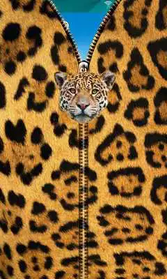 Play Jaguar Zipper UnLock