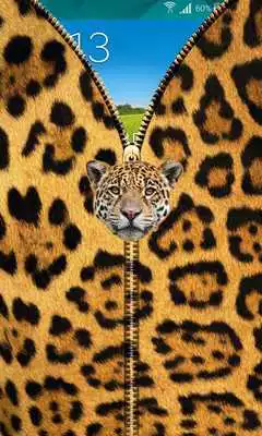 Play Jaguar Zipper UnLock
