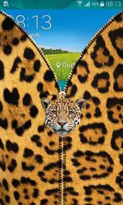 Play Jaguar Zipper UnLock