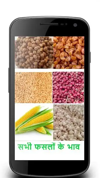 Play Jaipur Mandi Bhav  and enjoy Jaipur Mandi Bhav with UptoPlay