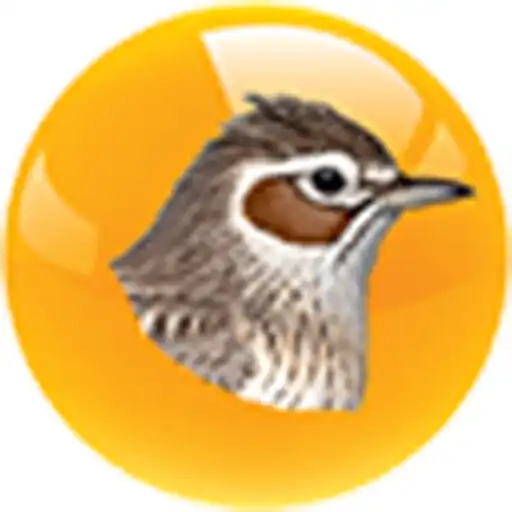 Play Jaki to ptak? APK