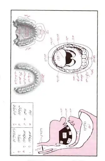Play Jamal-ul-Quran