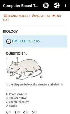 Play JAMB 2019 QUESTIONS AND ANSWERS