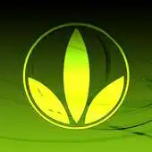 Free play online James Fitness Nutrition APK Free play online James Fitness Nutrition APK