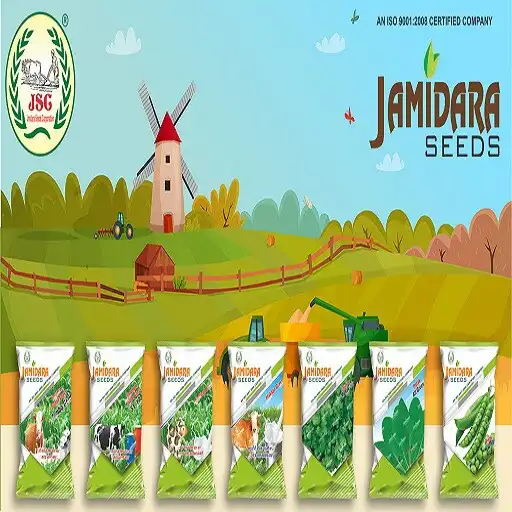 Play jamidara seeds APK Play jamidara seeds APK